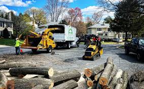 Sauk City, WI Tree Care Services Company